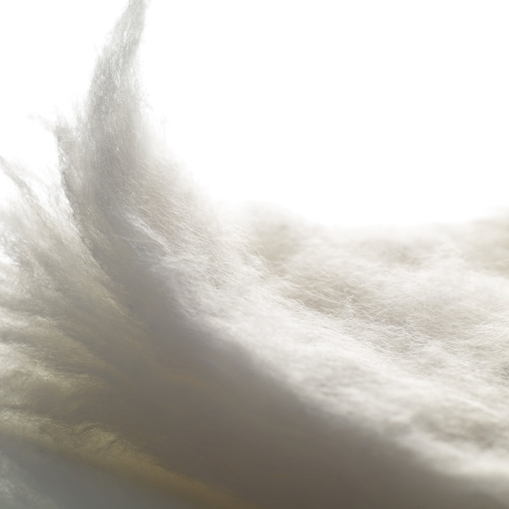 Silk Fibre