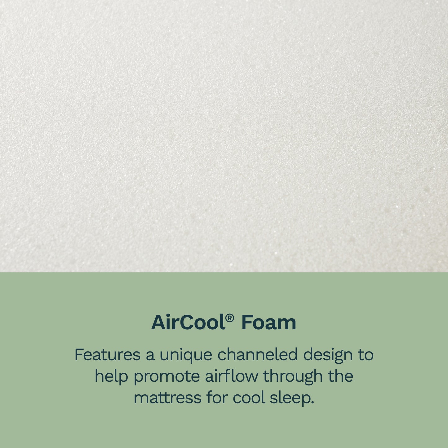 BeautySleep Canada - "Erling"